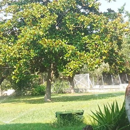 The Blue House Villa